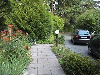 Looking back down driveway from house