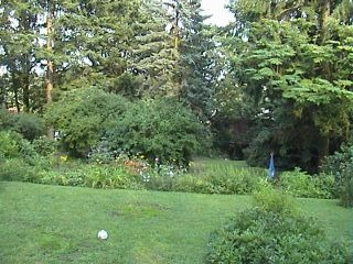 Bottom garden viewed from Ingrid's study