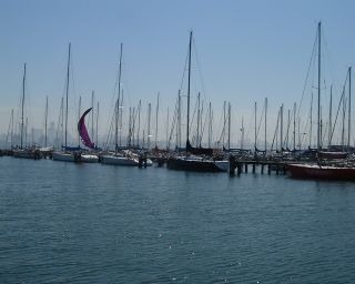 One of the many Marina's in Melbourne - and I think I made Tracy see most of them!