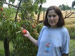 Ingrid admiring our peach tree